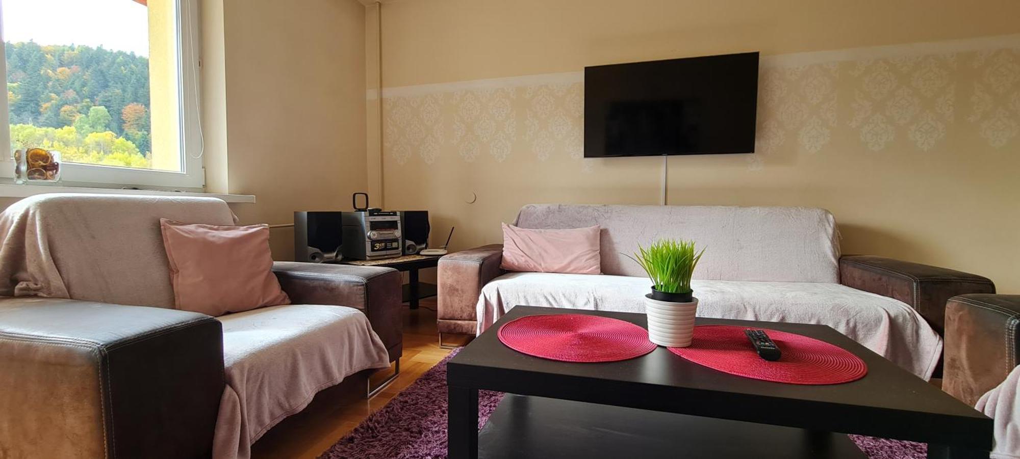 Apartament Czarny Potok Krynica-Zdrój Zewnętrze zdjęcie